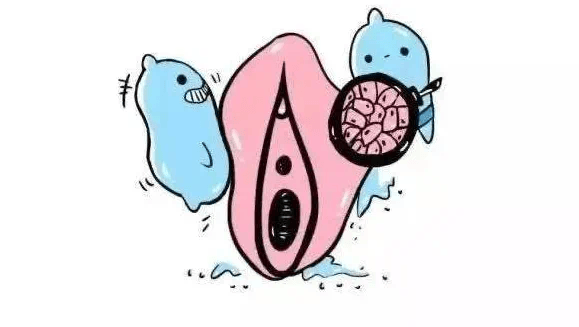 来自搜狐网