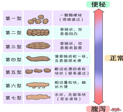 便秘大便程度图图片