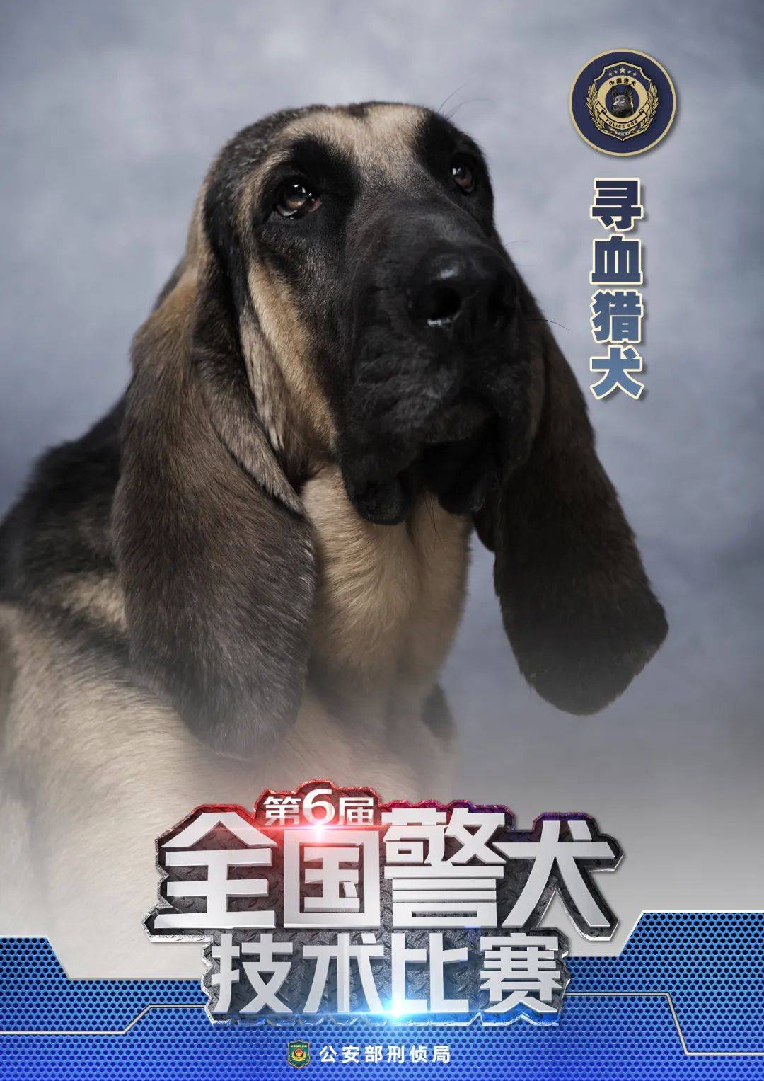 警花与警犬的狗 品种图片