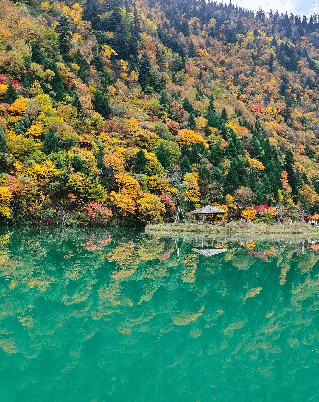 羊茸哈德景区 秋色图片