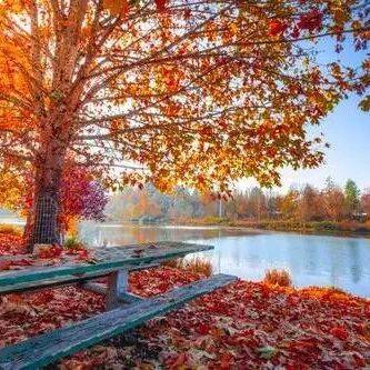 Autumn是秋天，Year是年，那你知道Autumn years是什么意思吗？_in_the_例句