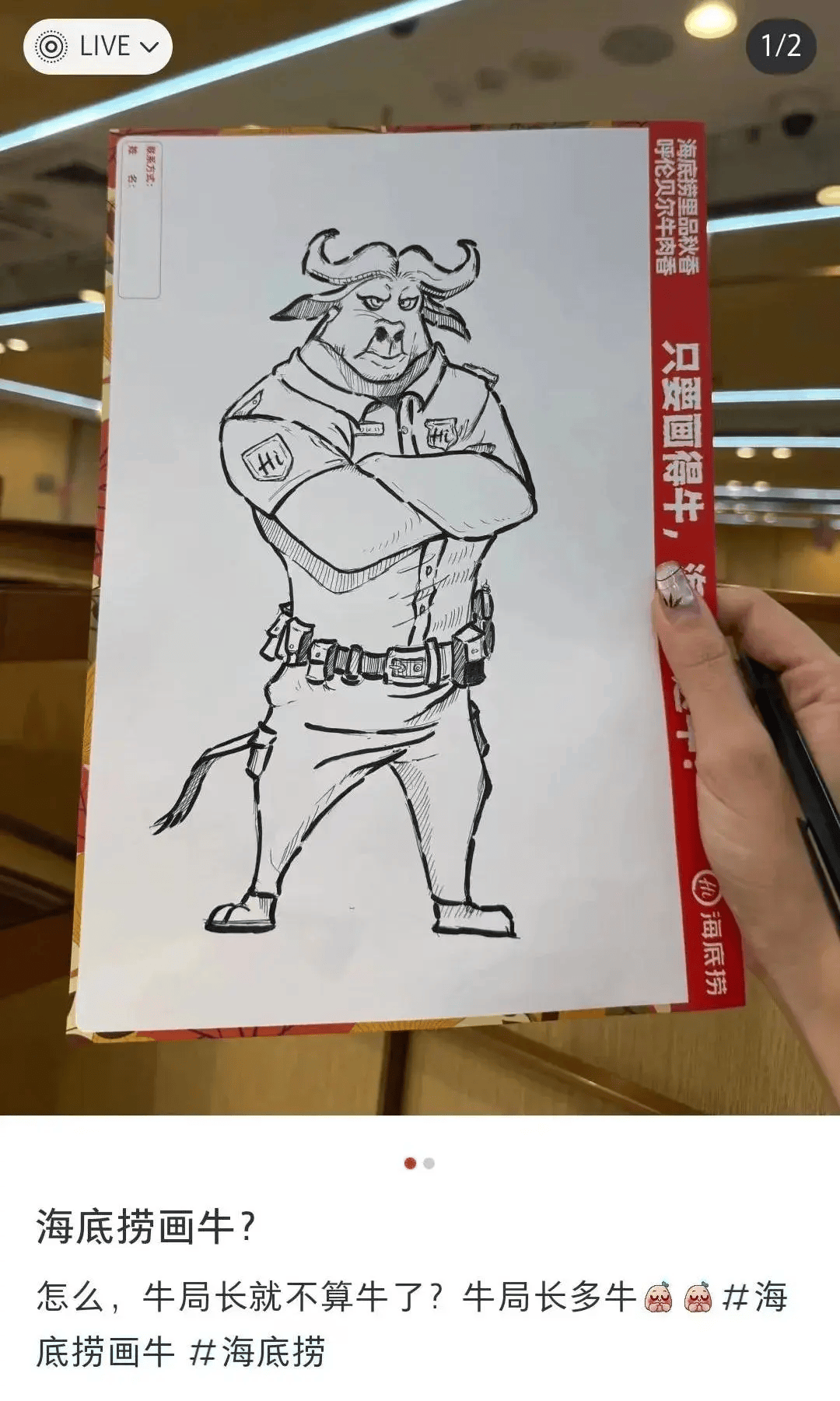 霸气十足的牛局长:用海底捞logo拼成的牛:四个央美本科生大战海底捞