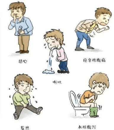 包括沙门氏菌属,变形杆菌属,霍乱弧菌,副溶血性弧菌,致病性大肠杆菌属