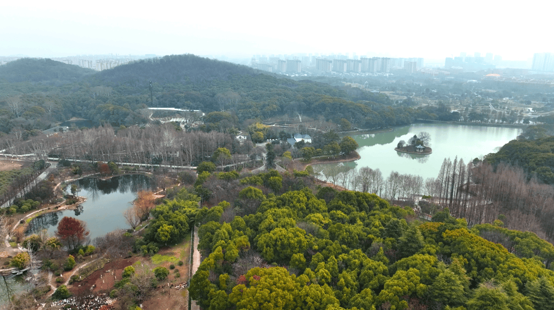 芜湖神山公园图片