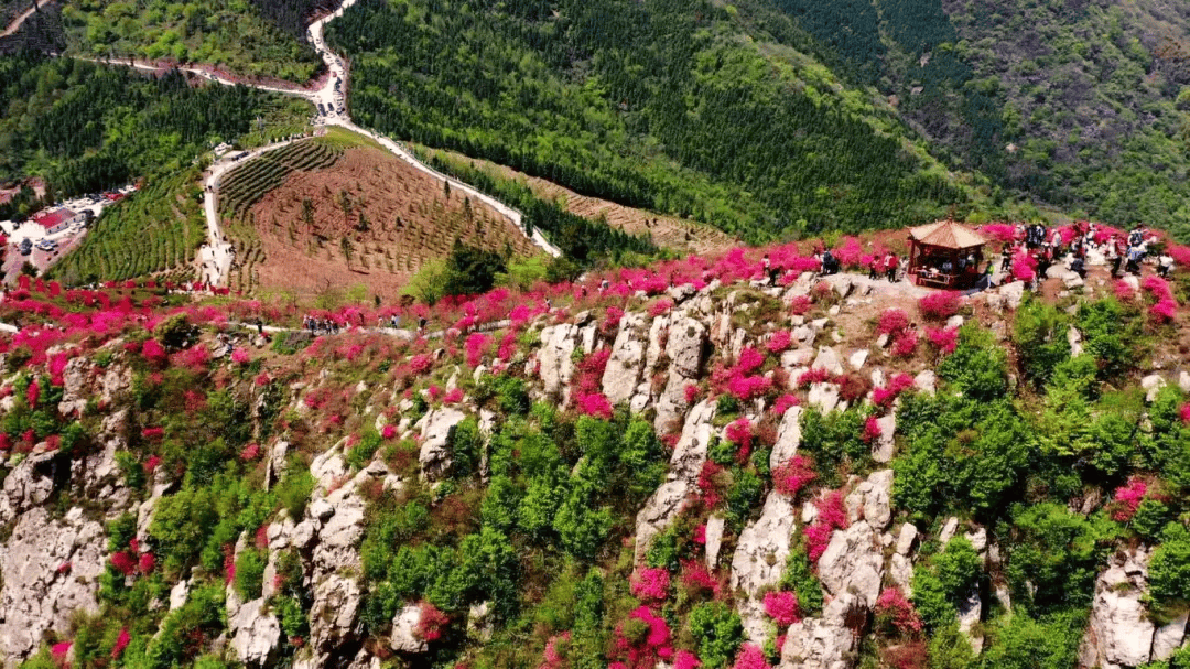 无为市花疃实景图图片