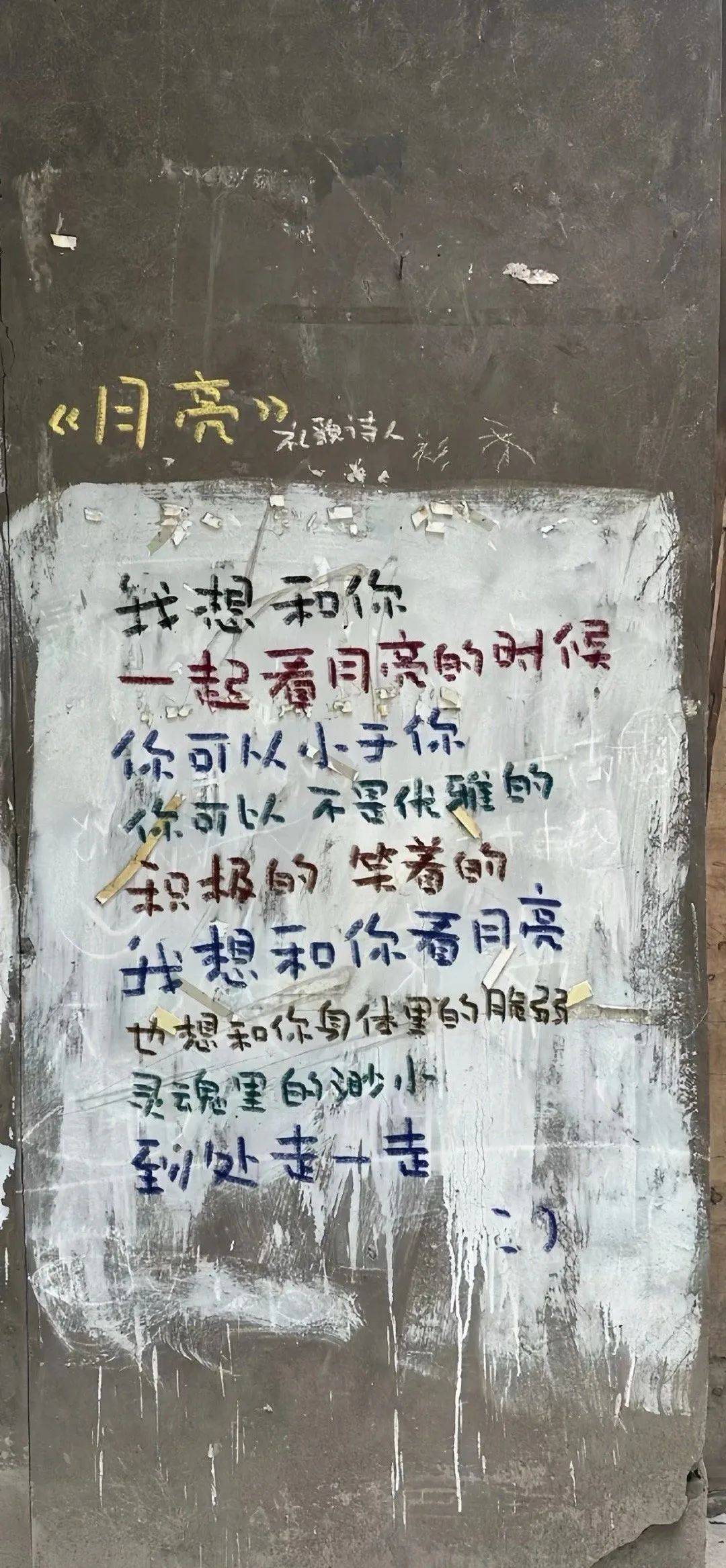 壁纸丨我爱你高于隐喻