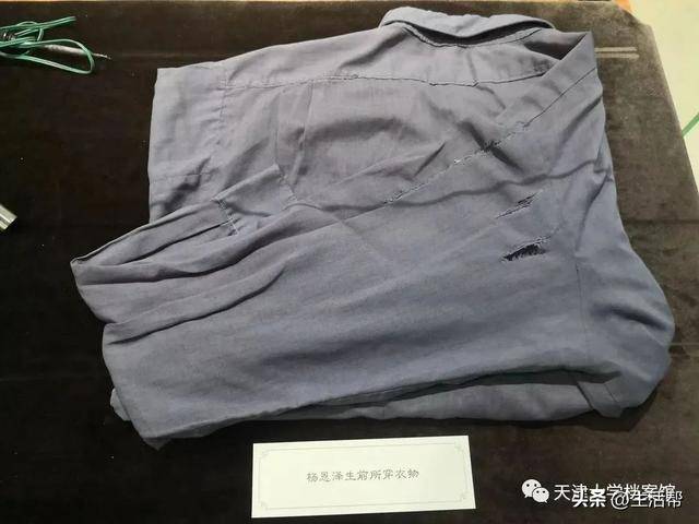 文章配图-8