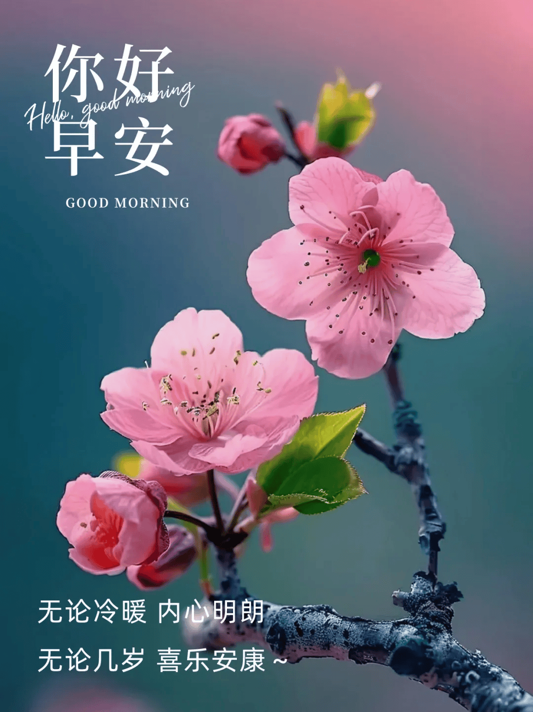 早安语录正能量句子！新的一天，新的开始！风吹雨打知生活，苦尽甘来懂人生_搜狐网