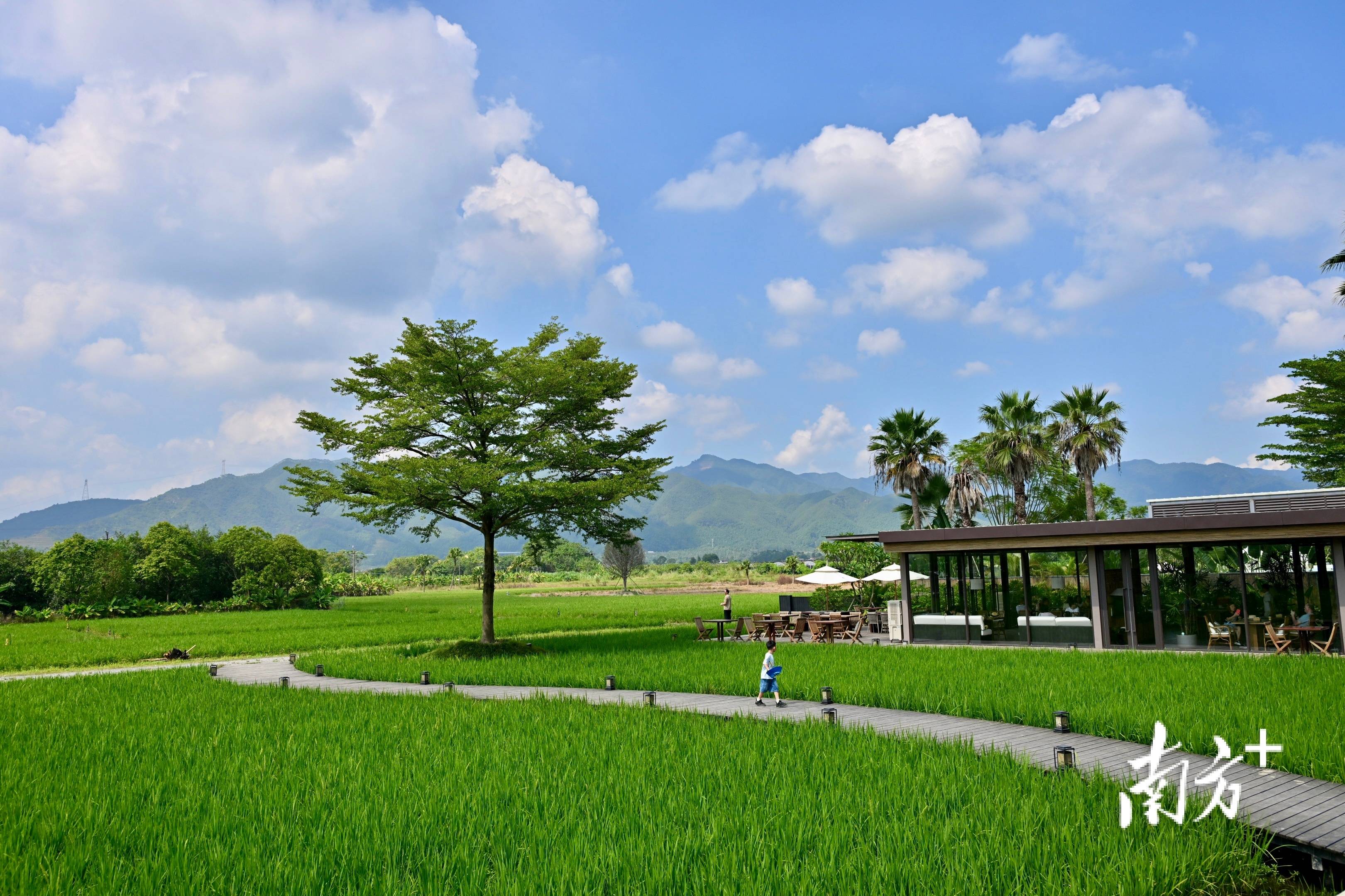 游览山水胜地,打卡清远美景!2024清远新能源汽车赛活动成功举办 游览山水胜地,打卡清远美景!2024清远新能源汽车赛活动成功举办