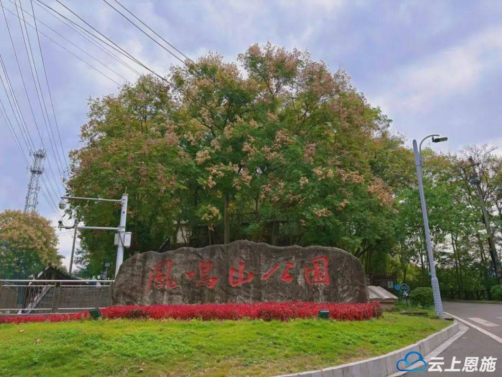 来凤 解锁凤城锻炼打卡点——来凤县凤鸣山公园_登山_栾花_步道