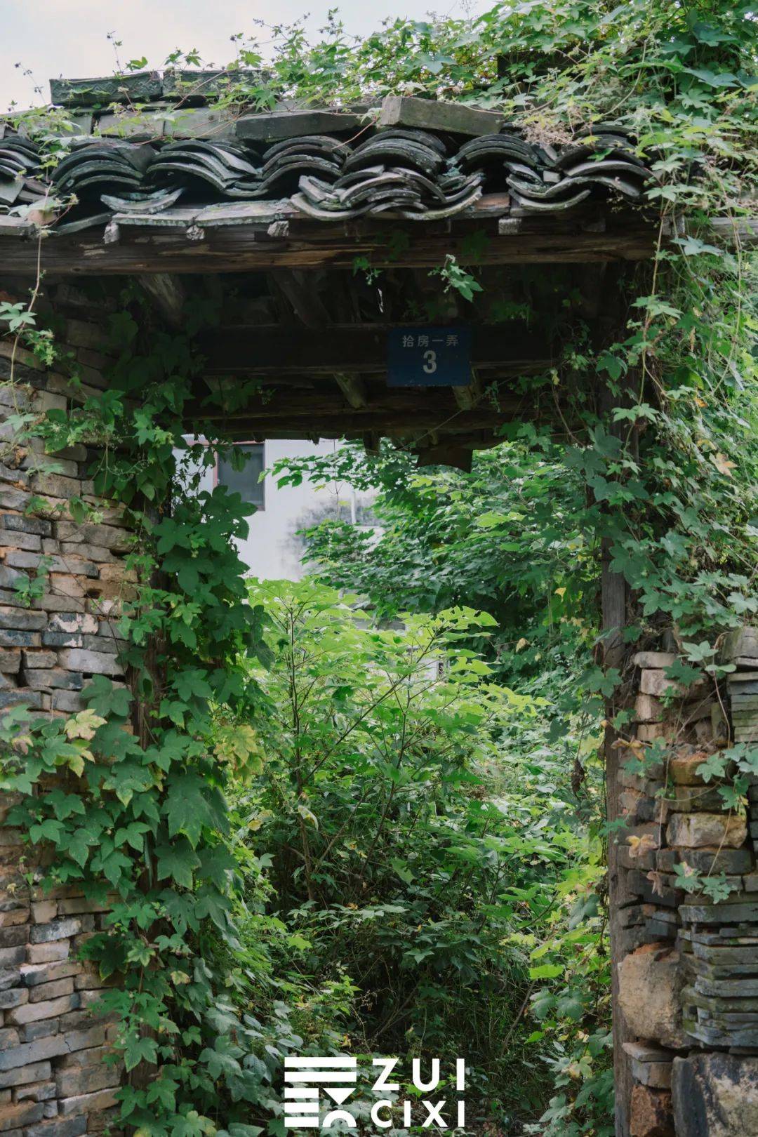 {古村,古井,古宅,古树}当有人问起慈溪哪里好玩,10个回答里面有8个会