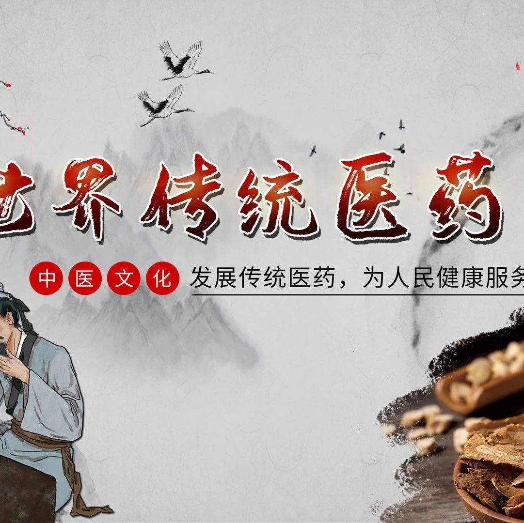 金小鸥讲健康|世界传统医药日:弘扬传统医药,绽放中医药华彩_临床_药学_疾病