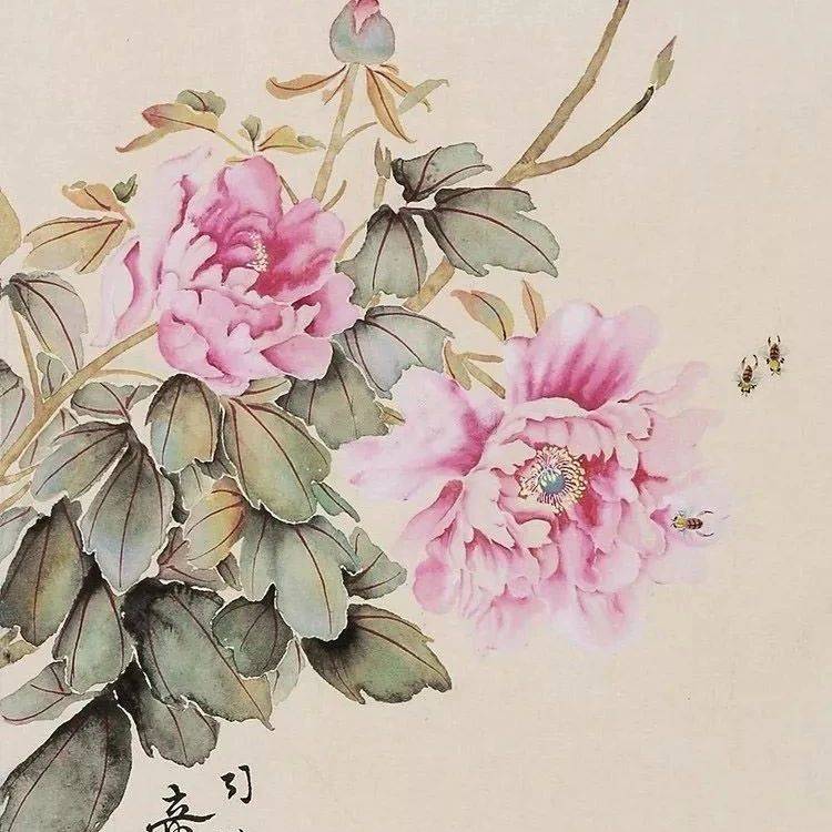 他所画牡丹,真美!_司徒奇_艺术_国画