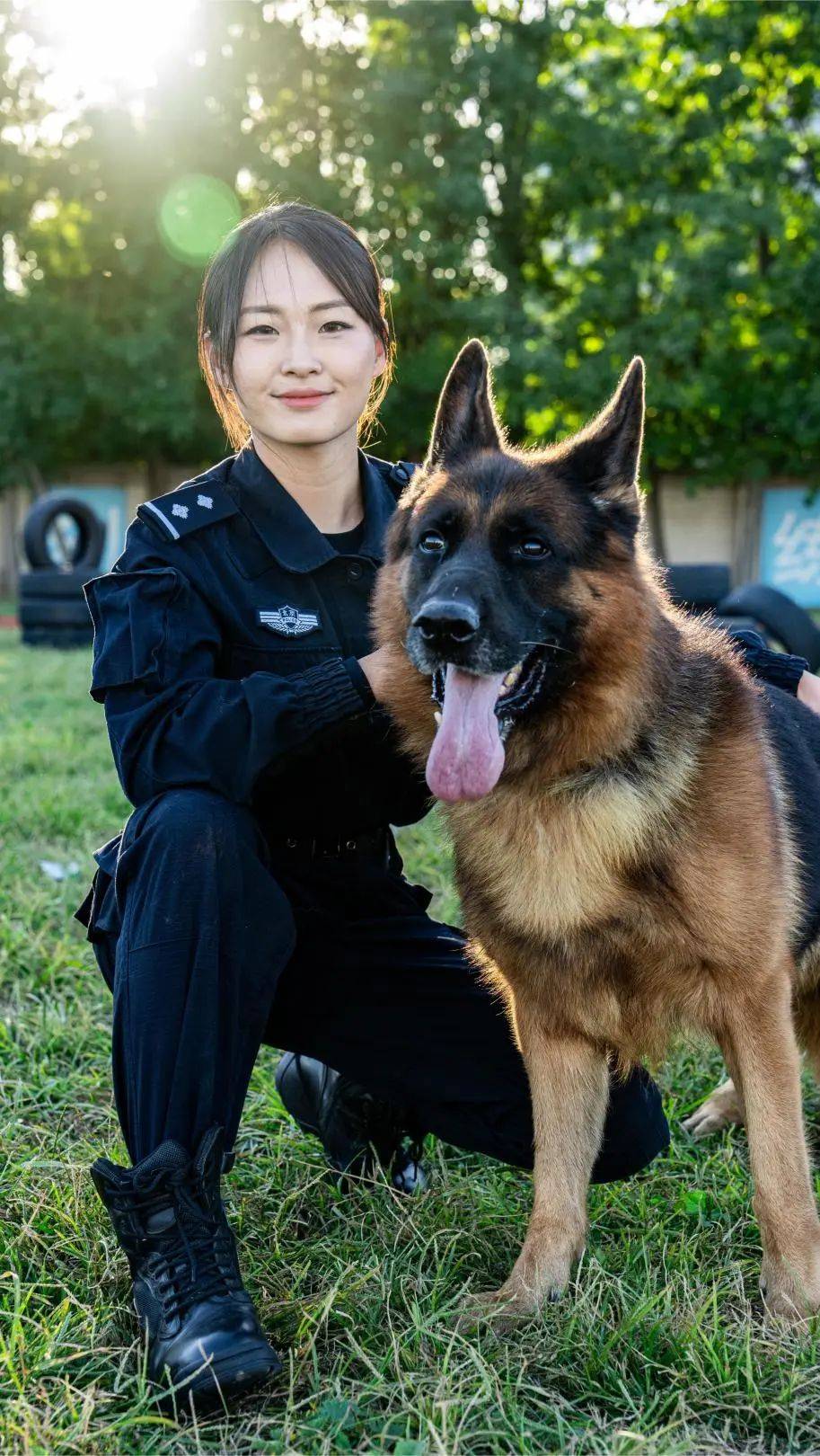 德牧警犬图片图片