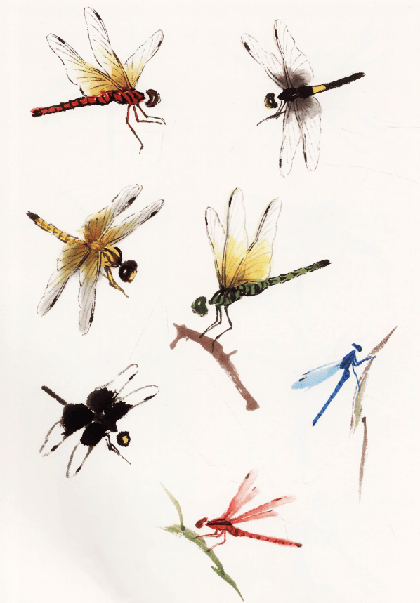 写意蜻蜓,一学就会画!