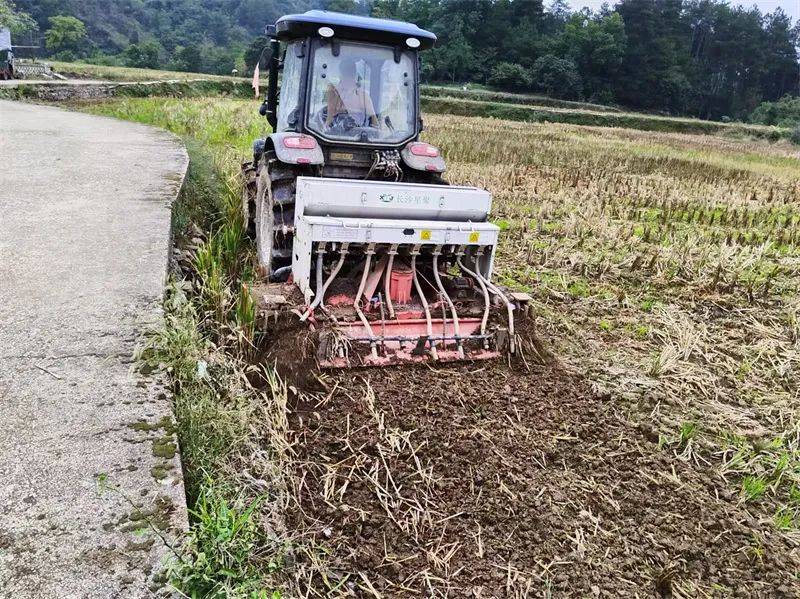 两边开沟油菜田旋耕机图片