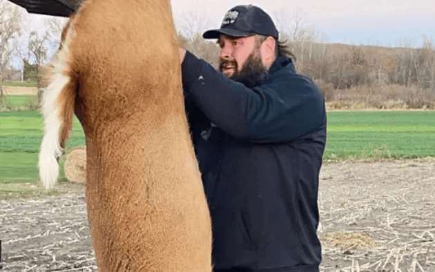 布朗·斯特劳曼上传争议性照片"又回家了,上帝太伟大了.