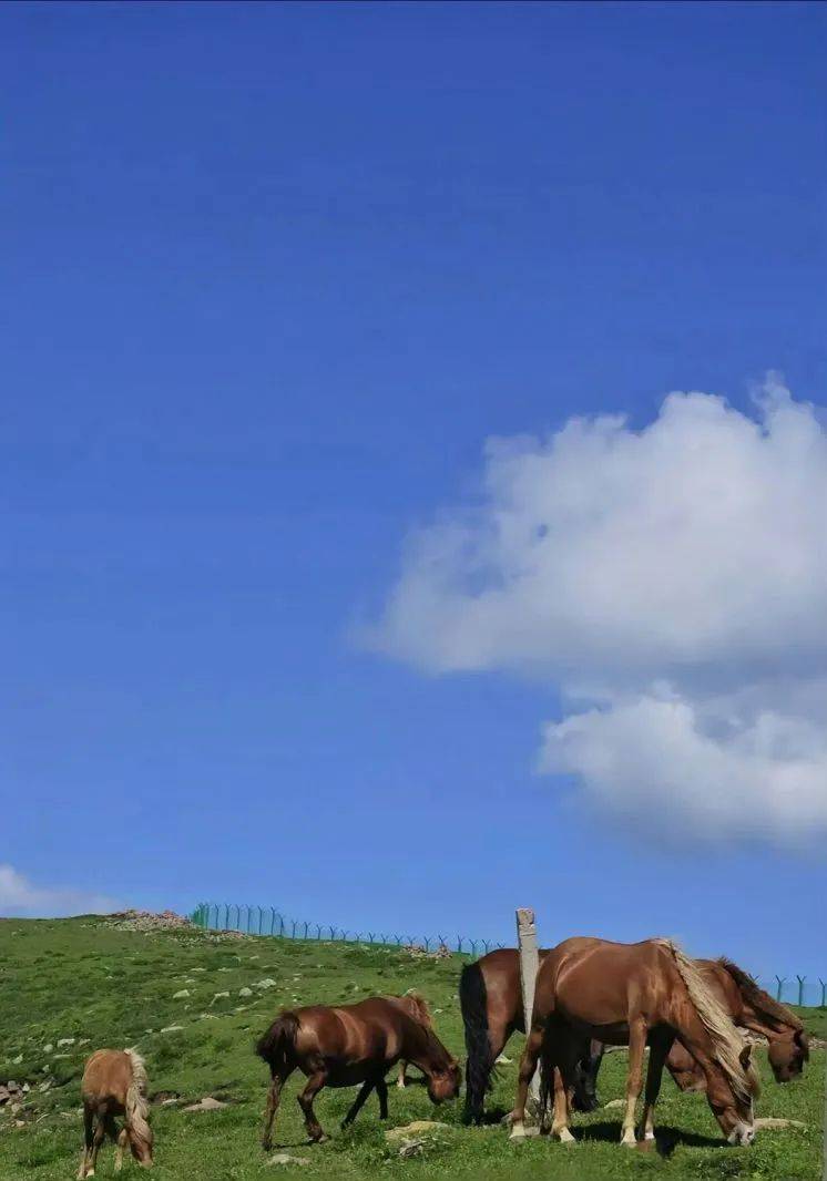 摄影:段紫庆摄影:冯国秀摄影:郭子烨摄影:贺弘扬