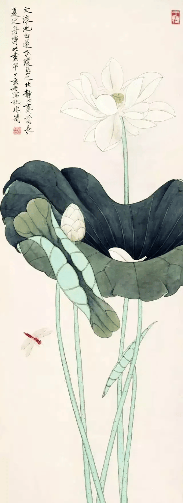 这工笔荷花,有清心的感觉