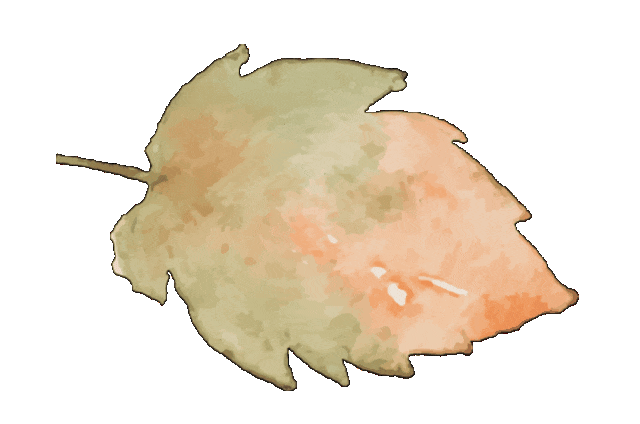 信阳90后小两口返乡直播卖板栗,一年跻身行业头部商家 信阳90后小两口返乡直播卖板栗,一年跻身行业头部商家