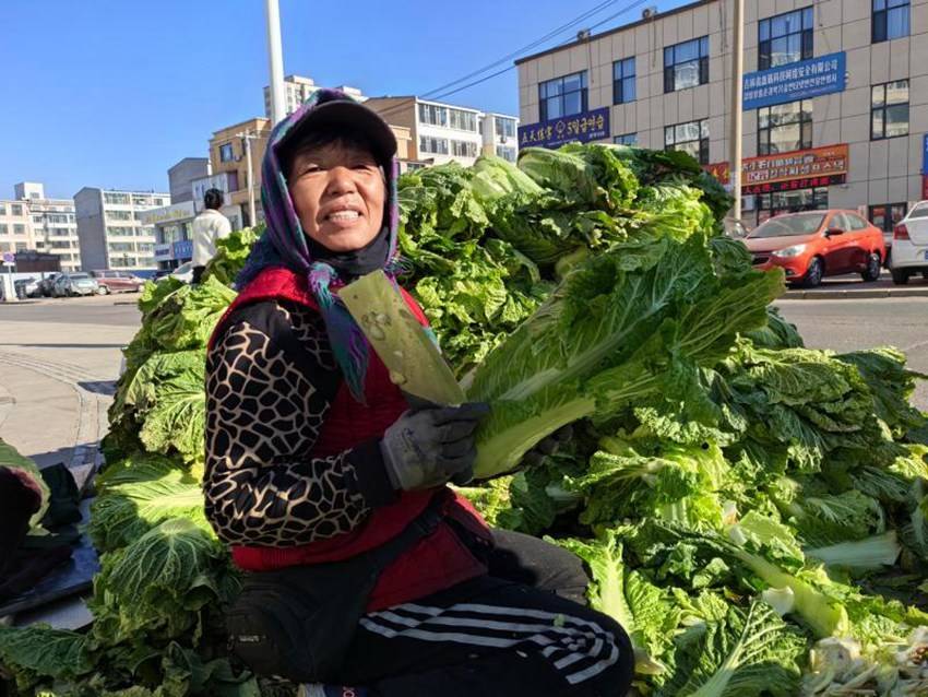 秋菜销售旺 监管保安全——延吉市秋菜市场见闻