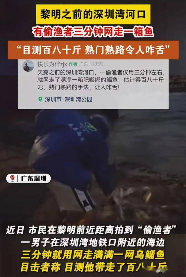 佛山卖鱼强415事件图片