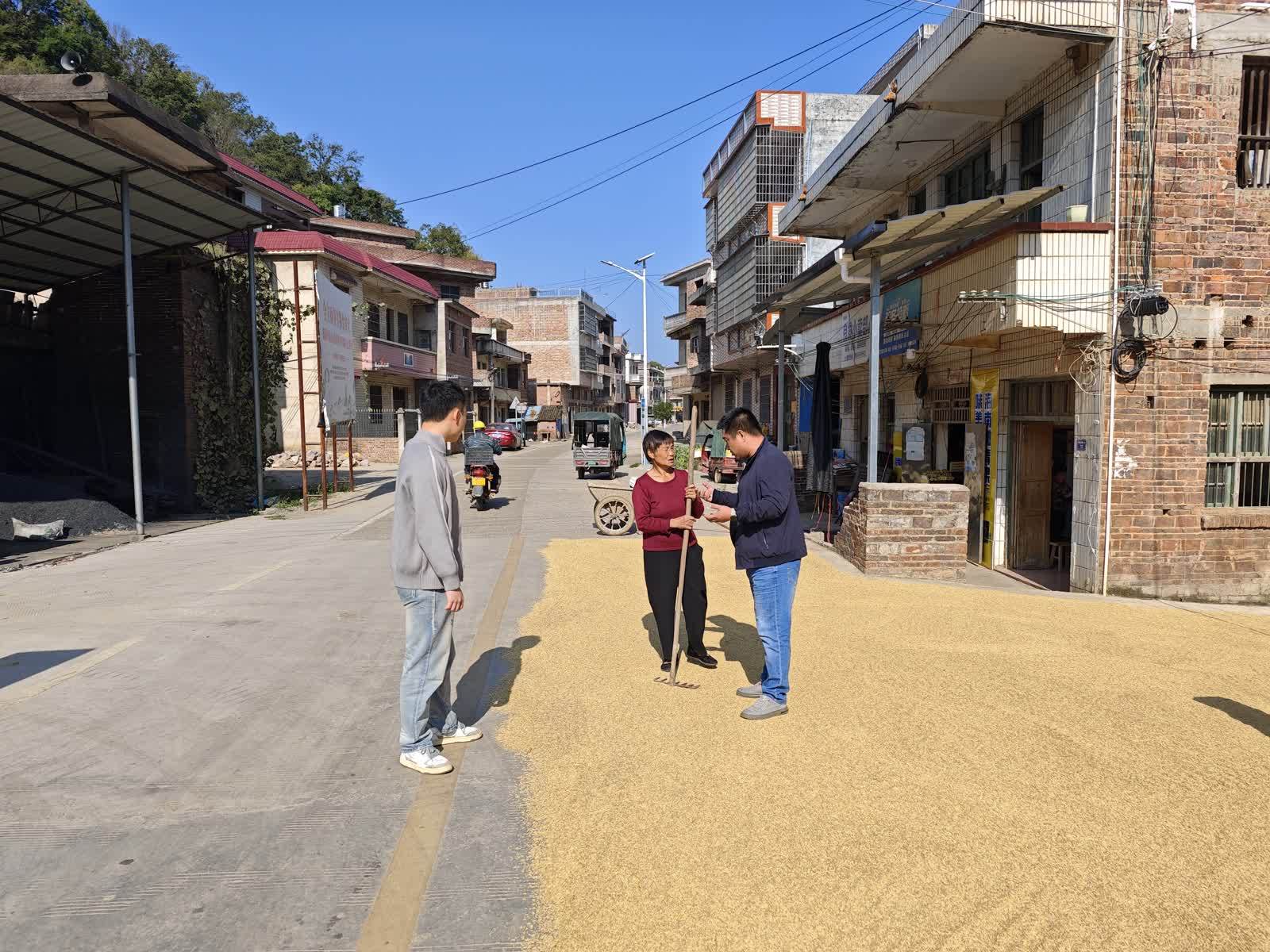 新田县石羊镇:"精准"守护秋收时节道路交通安全