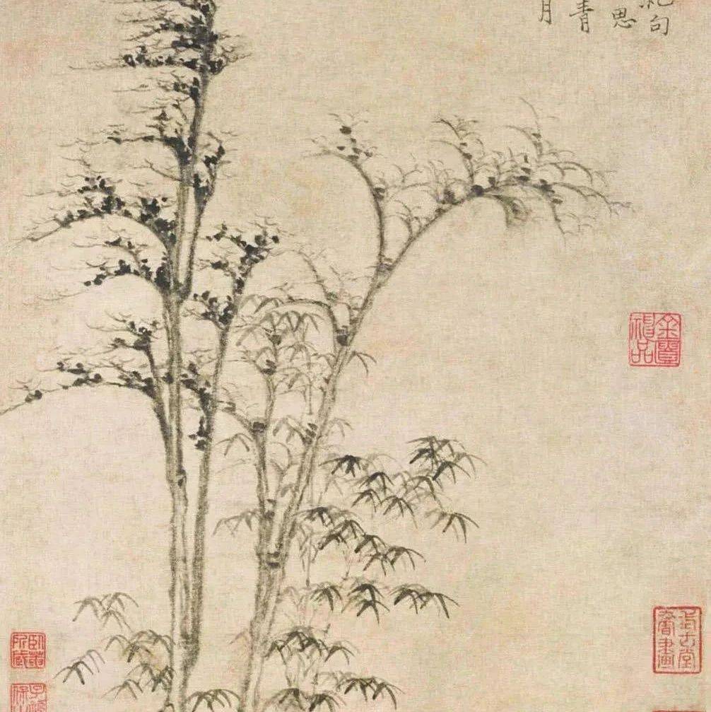 毛代炜:倪瓒《竹石乔柯图》《墨竹坡石图》研究_作品_朱文印_白文印