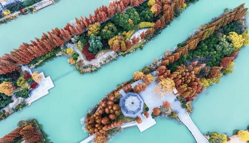 邳州银杏湖风景区图片图片