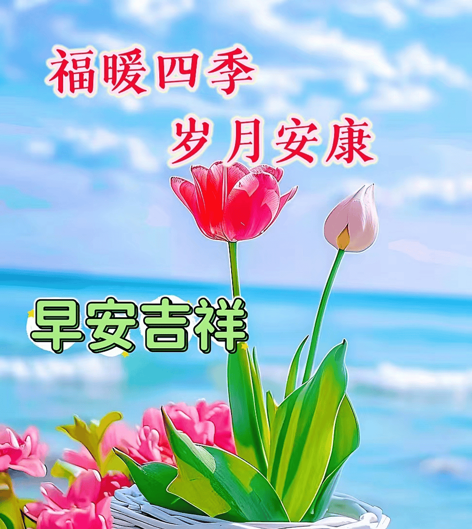 今日最新早上好问候语精选大全,一声问候到身边,万事如意送平安