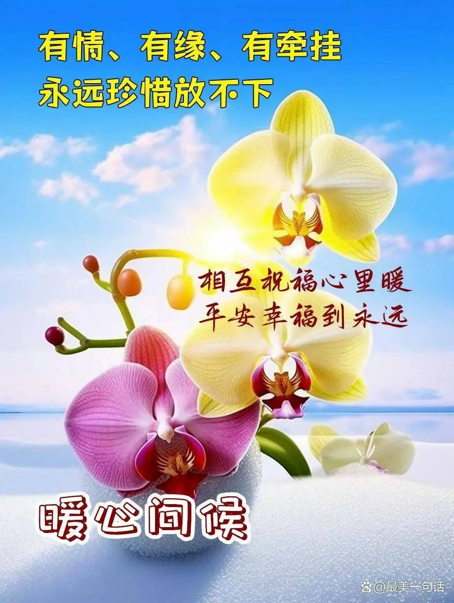 11月3,微信唯美早上好的问候语祝福图片
