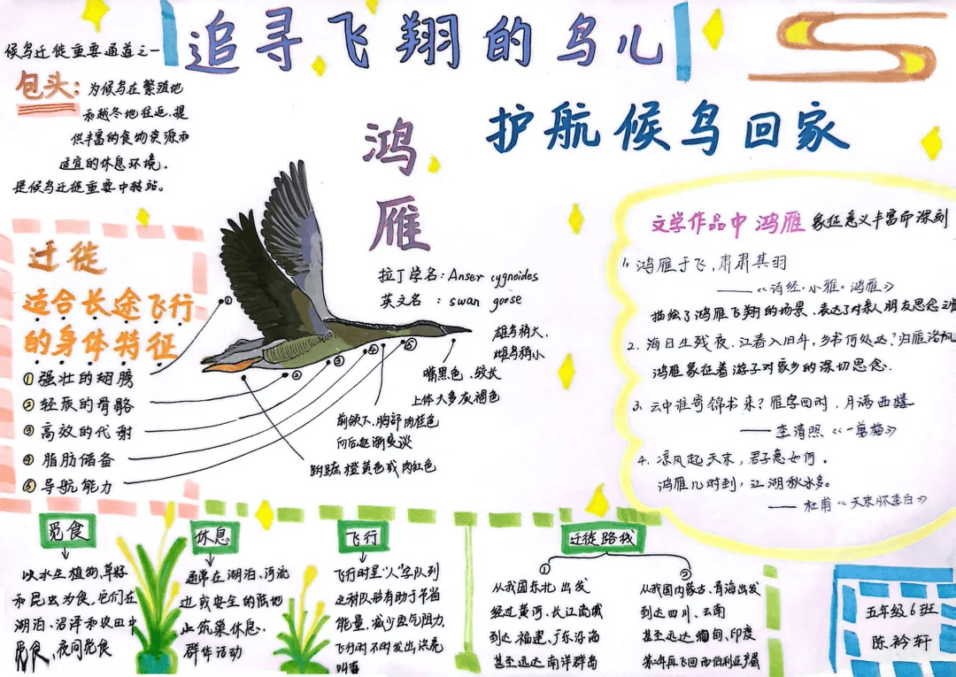 【科创未来】包头市第一实验小学行走的科学课"追寻飞翔的鸟儿