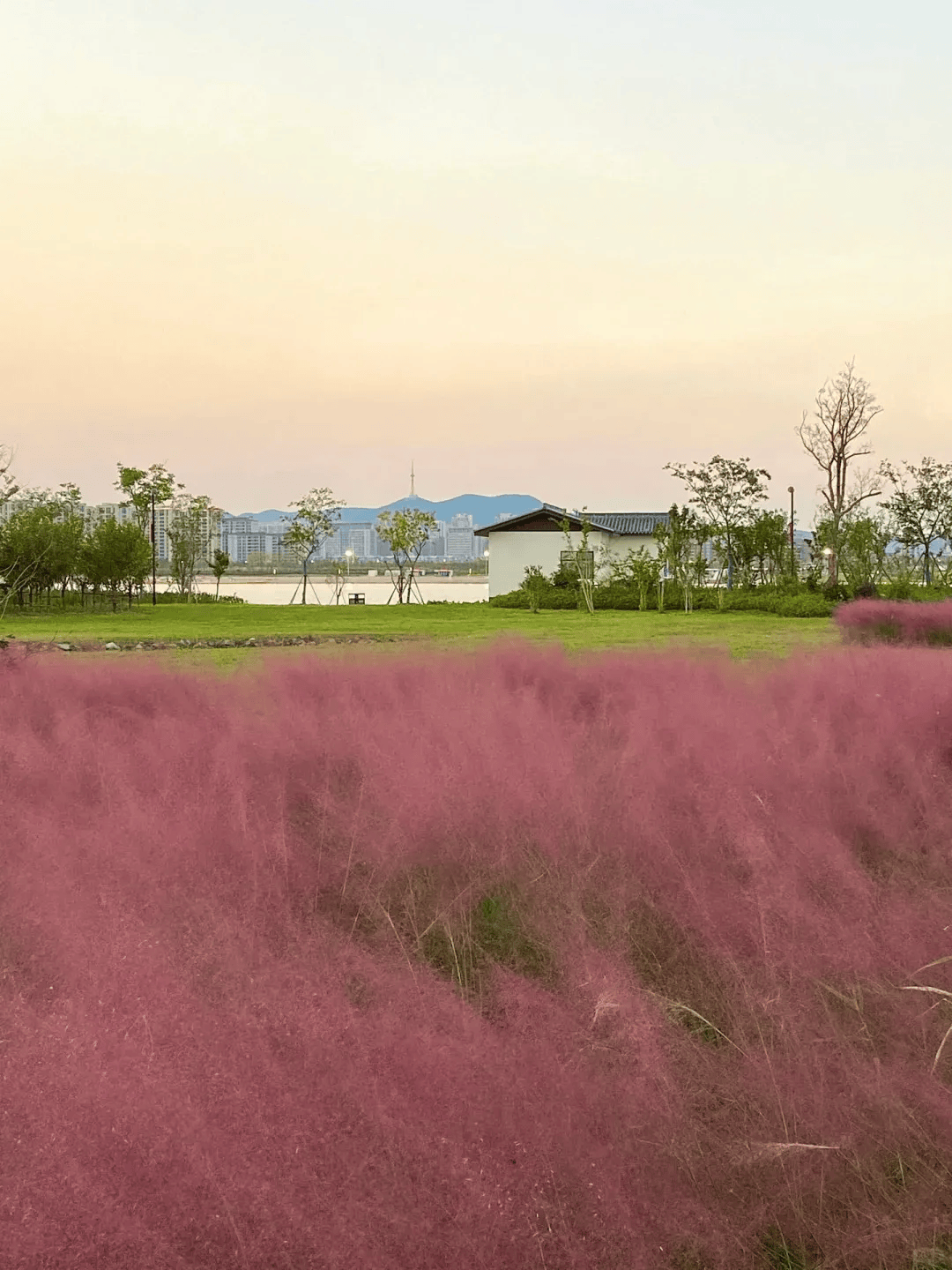 邓州市大房营村图片