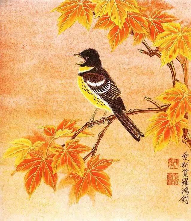 金鸿钧的花鸟别具一番风味,值得收藏!_爱新觉罗_工笔_传统