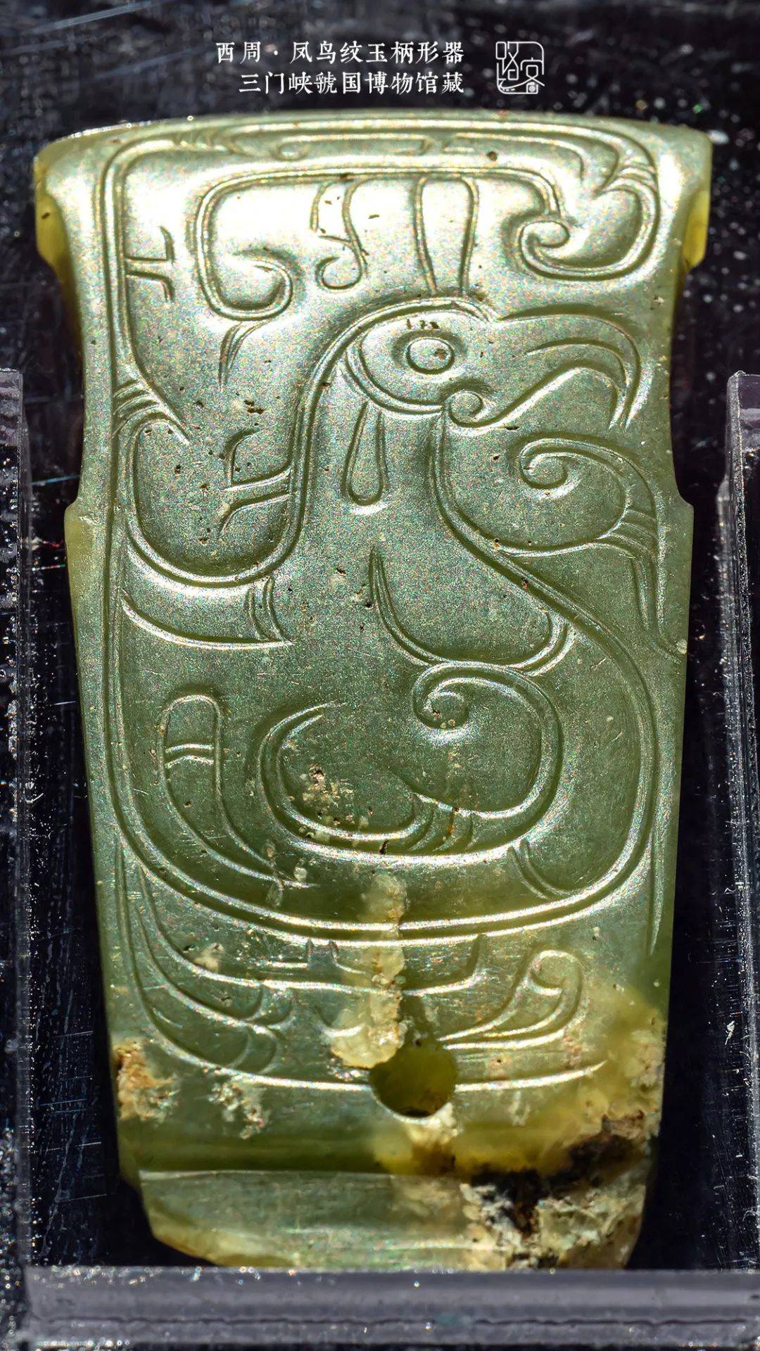历代凤鸟纹(多图解析)_纹饰_风鸟_时期