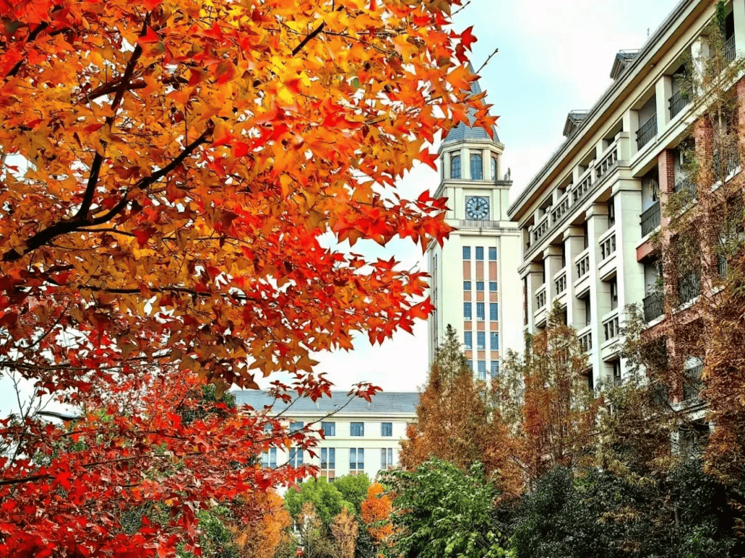 高校风景图片