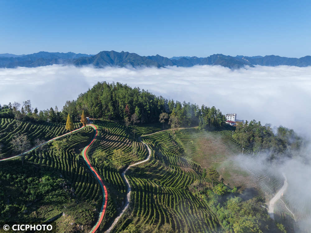 雾漫城乡 云绕山峦(图12)