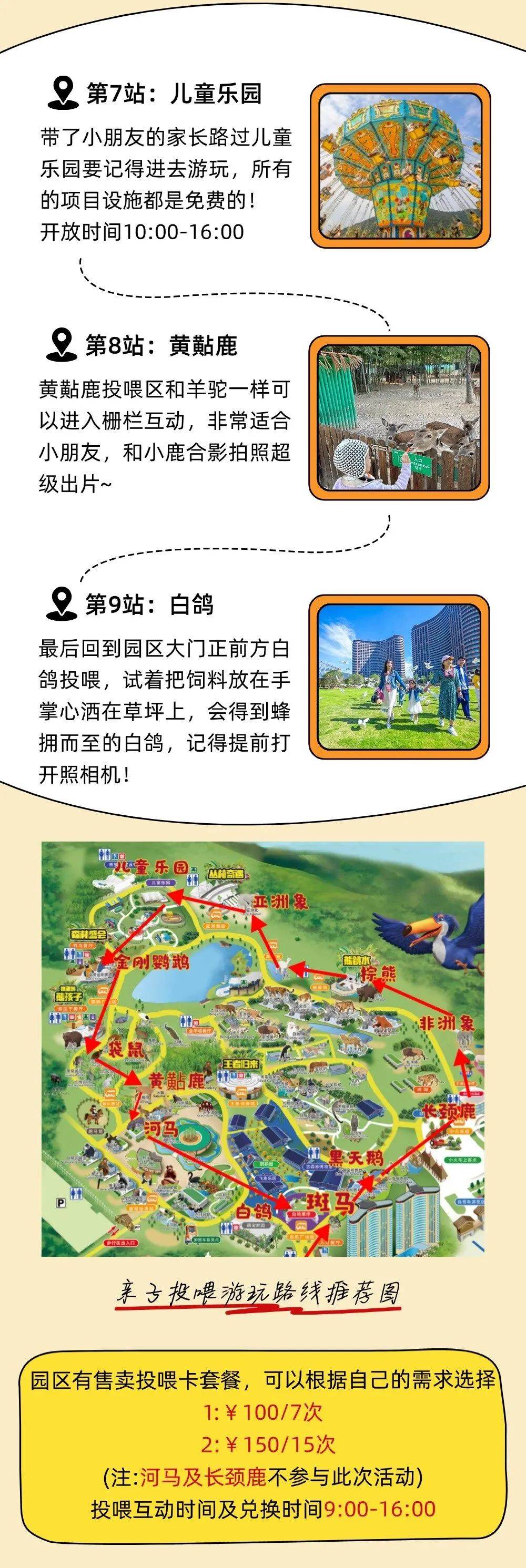 跟着攻略看万千萌兽,点击解锁龙之梦动物世界花式玩法
