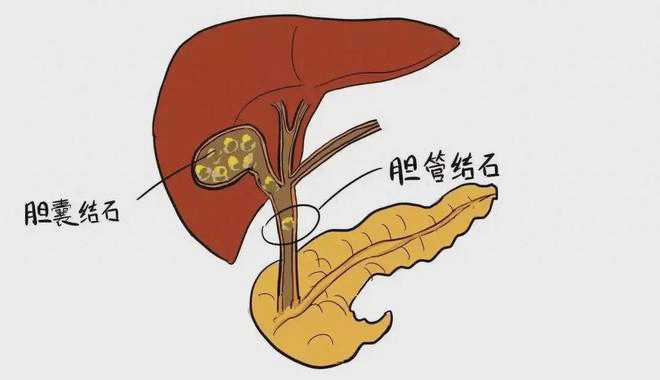 泸州医学院挂号预约app(泸州医学院挂号预约神经内科专家号)