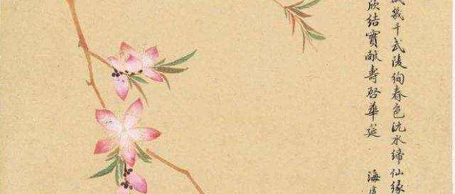 灼灼桃花，绝美诗画_桃源_余穉_桃树