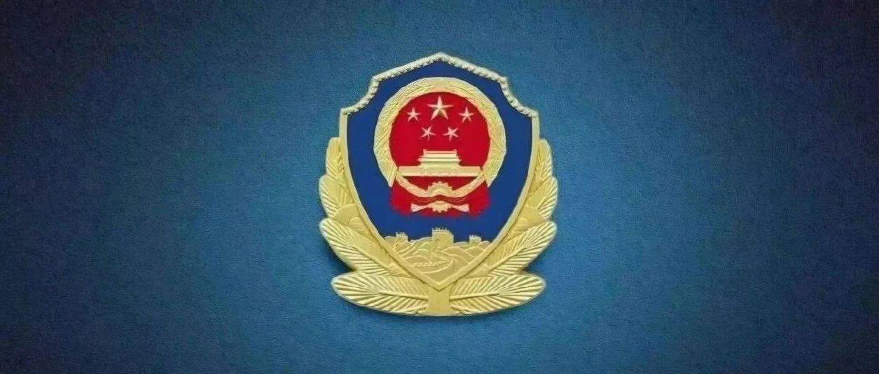 天津市2025年公开招录人民警察,公安公交分局招录9名!(附职位表)_体检_笔试_人员