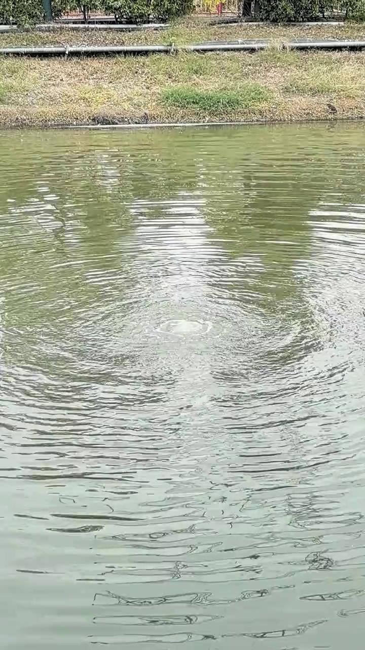 谭鑫培公园内,很多泉眼,水流涌动,不管是人工还是自然,别有一番风味