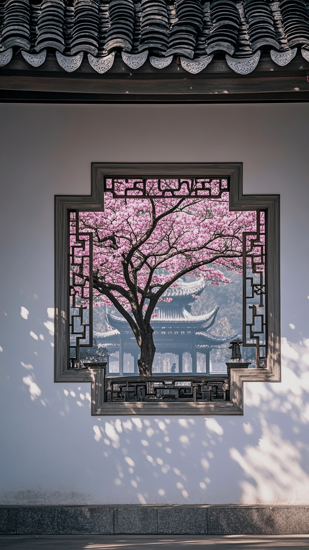 花窗白墙,粉花如梦