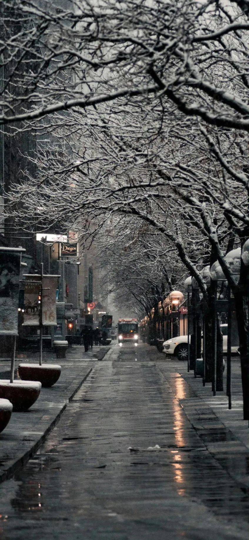 下雪的图片实景手机图片