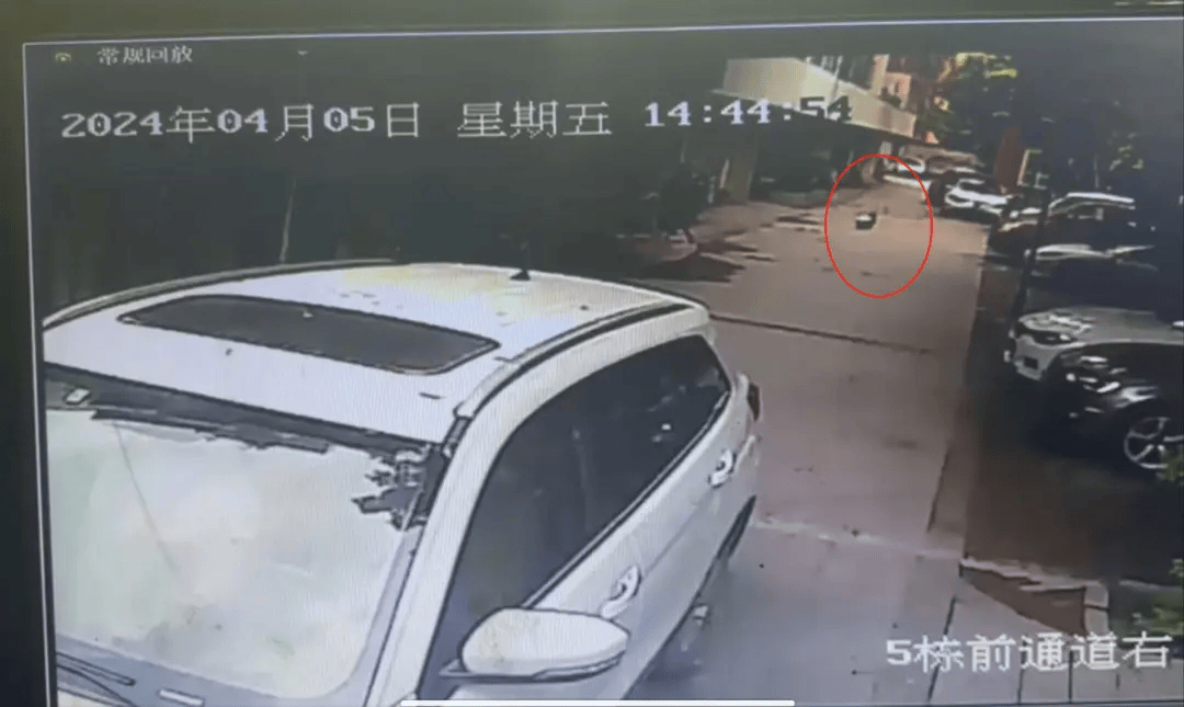 成都5岁女童小区内遭刚起步特斯拉碾压身亡,车主被认定全责未获谅解,一审将再开庭 成都5岁女童小区内遭刚起步特斯拉碾压身亡,车主被认定全责未获谅解,一审将再开庭