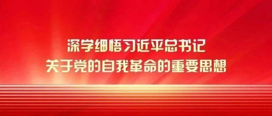 健全全面从严治党体系是深入推进党的自我革命的有效途径_建设_政治_中央纪委