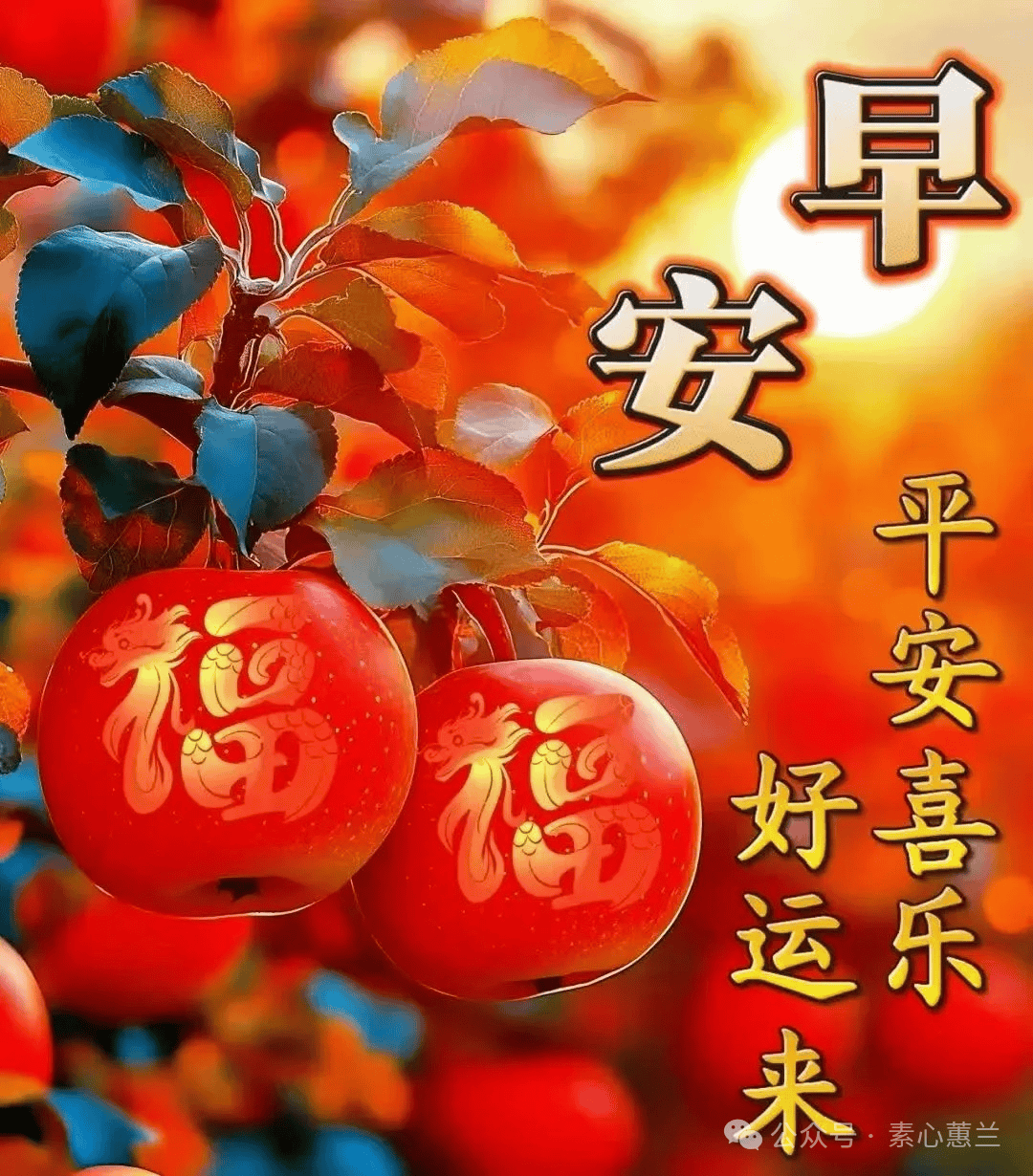 精美祝福图片集锦图片