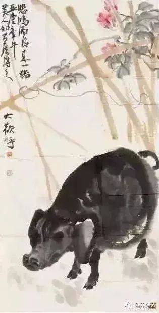 徐悲鸿画墨猪,浓淡刻画,趣味十足
