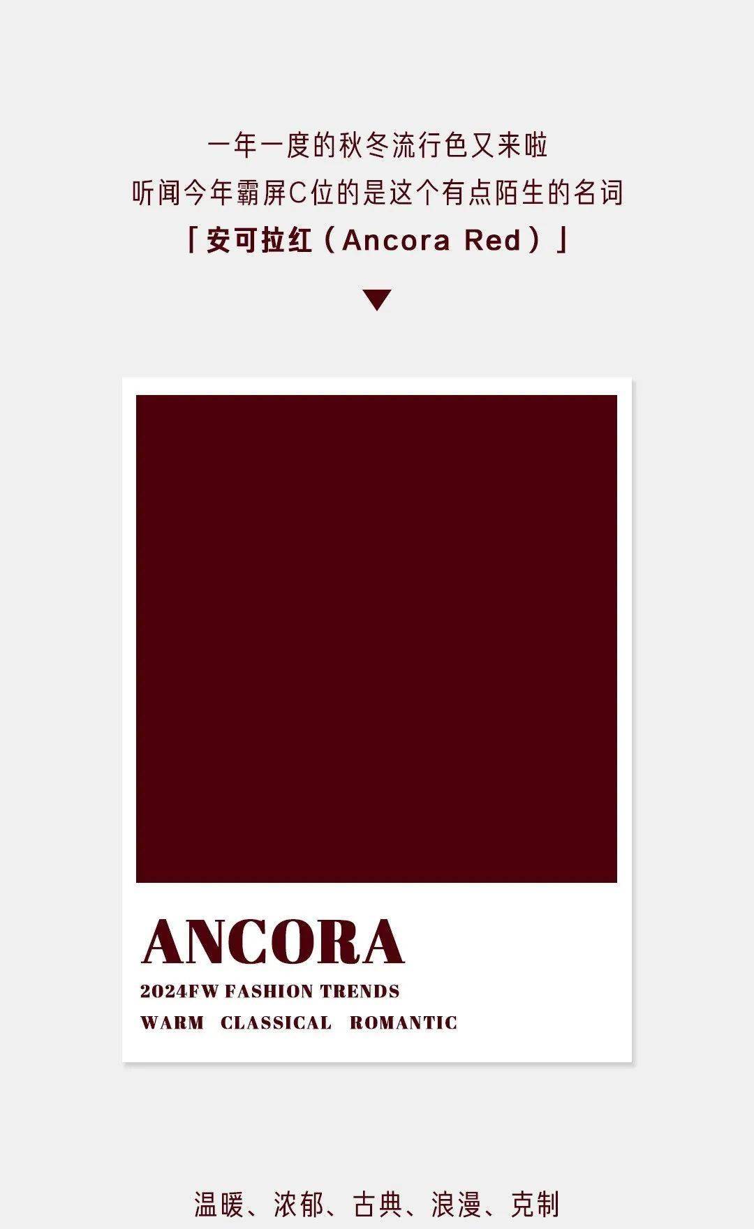 anchora