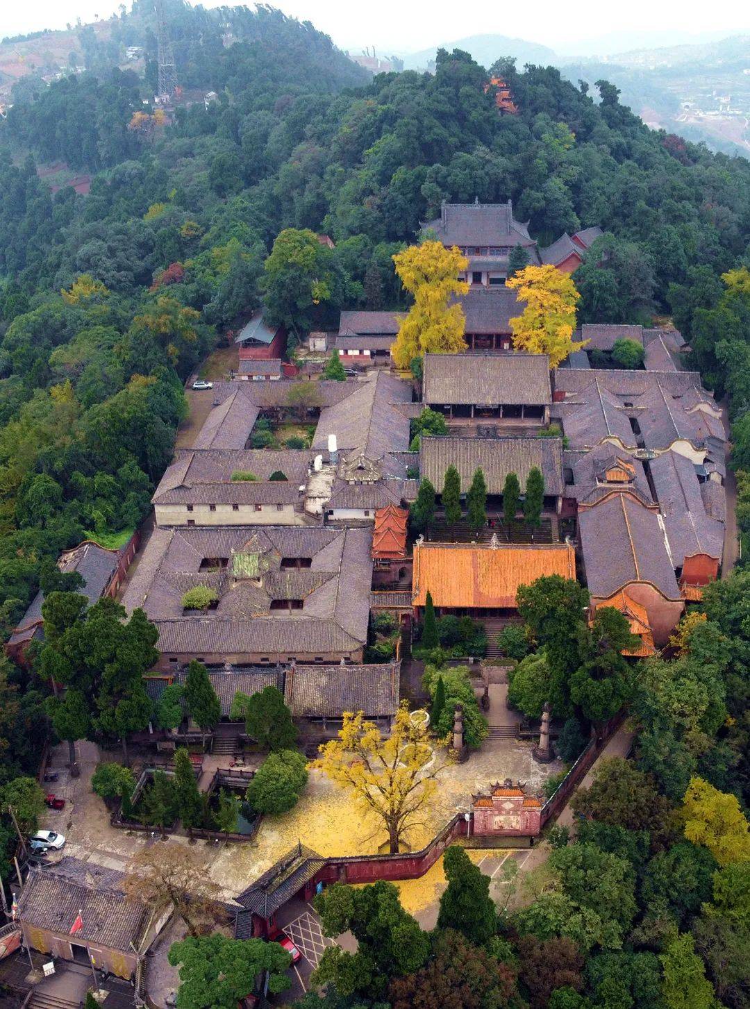 四川绝佳观赏银杏地图出炉这些赏秋地值得去